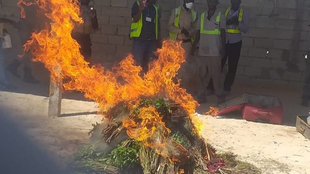 , الشرطة الصومالية تحرق أحزمة من القات الكيني في مقديشو