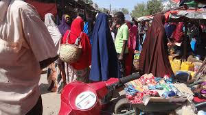 , صناعة الهوية صومالية