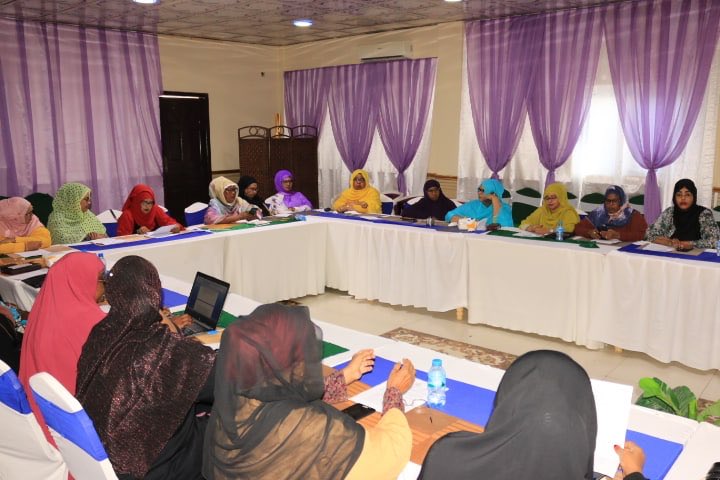 , المرأة الصومالية وقوة التمكين في الحكم