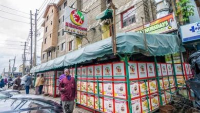 مستثمرون ورجال أعمال صوماليون: لو لم تنهار الصومال، لما تم بناء إيستلي على هذا النحو