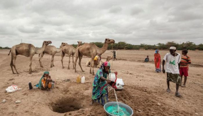 , الصومال تتلقى شحنة ثانية من المساعدات المقدمة من دولة الامارات