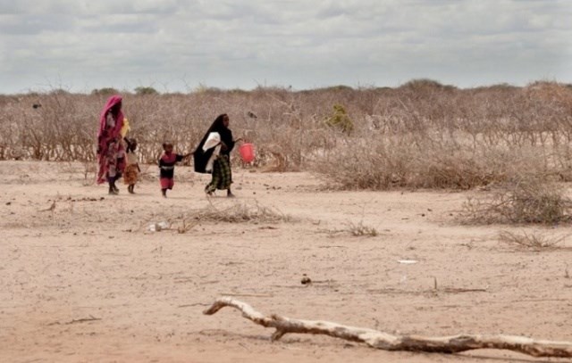 , الصومال.. أطفال يموتون عطشا في إقليم غدو جراء الجفاف الذي يجتاح المنطقة