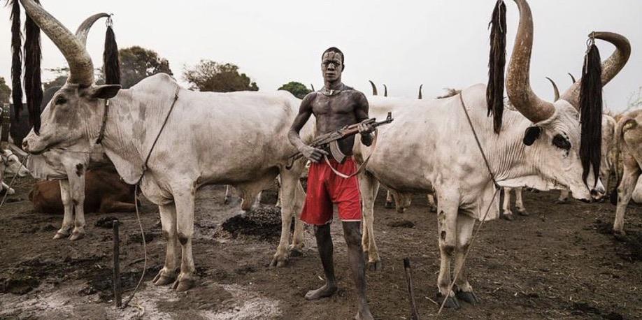 , 15 قتيلا في هجمات جديدة بسبب &#8220;الأبقار&#8221; جنوب السودان