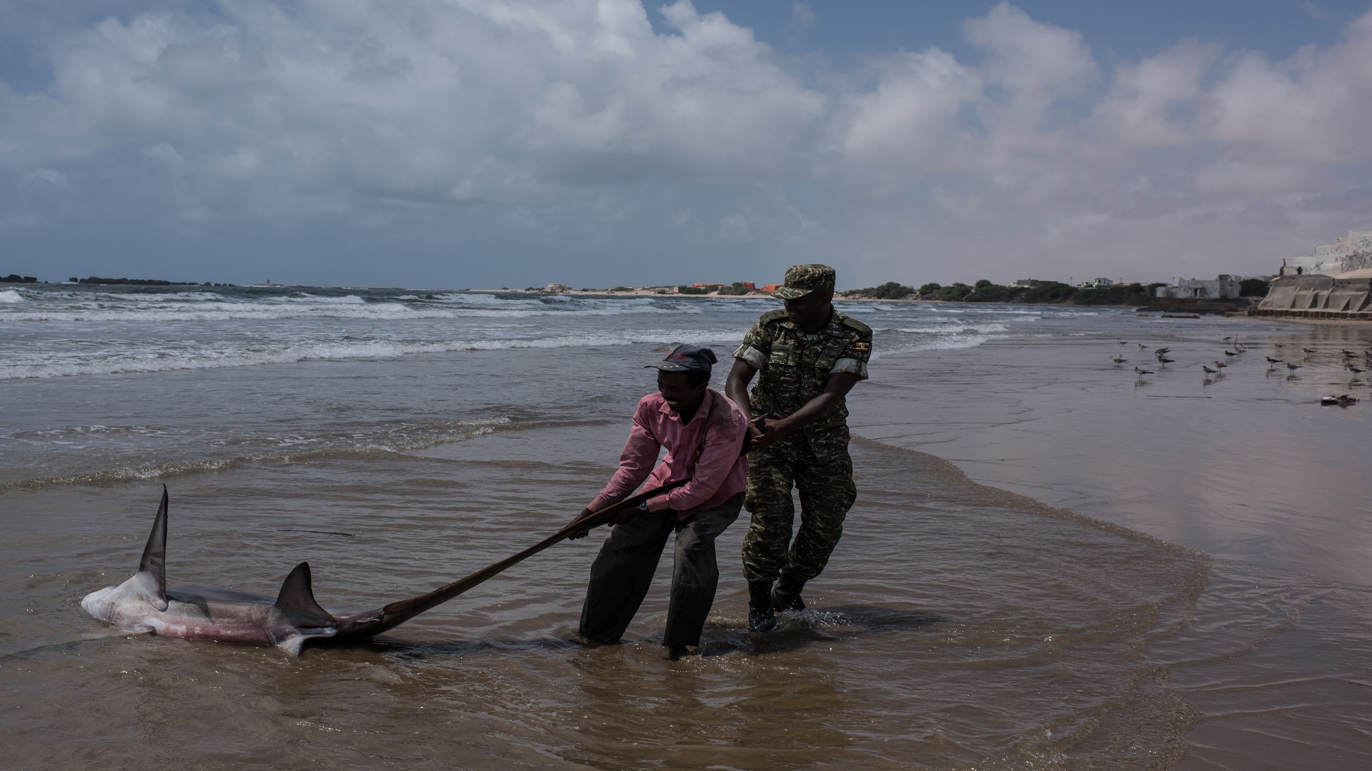 , الصومال.. هيرشبيلي تحذر السفن من الصيد غير الشرعي في سواحلها