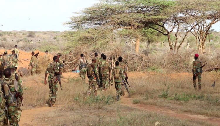 , الجيش يعلن مقتل وجرح العشرات من حركة الشباب جنوب غرب الصومال