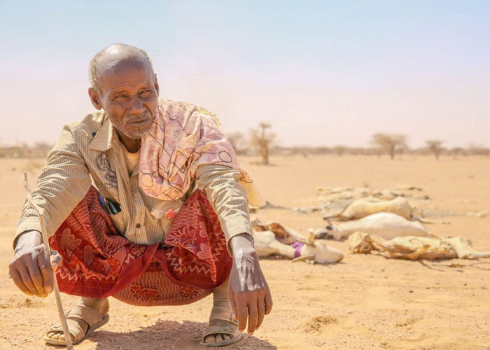 , قمة المناخ.. الصومال يعاني جفافًا تاريخيًا وجرادًا مدمرًا وإرهابًا متواصلًا