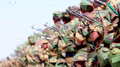 الحكومة الصومالية تعلن أنها تعمل على إعادة القوات التي دربها إريتريا