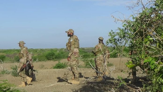 , الصومال.. القوات الحكومية تستعيد مناطق من حركة الشباب وتدمّر وتزيل نقاط تفيش ومواقع للخلايا الإرهابية