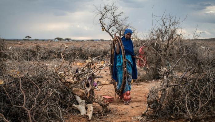 , كنوز الصومال.. موارد طبيعية تائهة بين تهديدات أمنية وجفاف