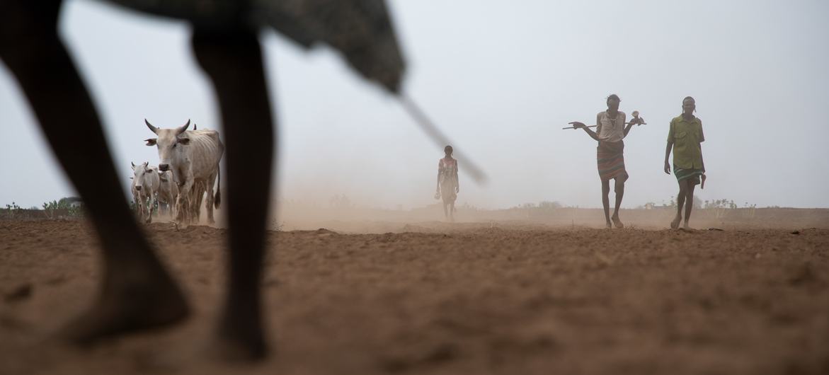 , الأمم المتحدة: المجاعة تتهدد 20 مليون شخص في الصومال والـقرن الإفـريـقـي جراء تفـاقم الجفاف