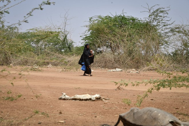 , الجالية الصومالية في مينيسوتا تحتشد للمساهمة في مكافحة الجفاف بالصومال
