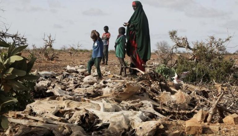 , في حصيلة هي الأولى رسميا.. الأمم المتحدة تُعلن وفاة 43 ألف شخص في الصومال جراء الجفاف