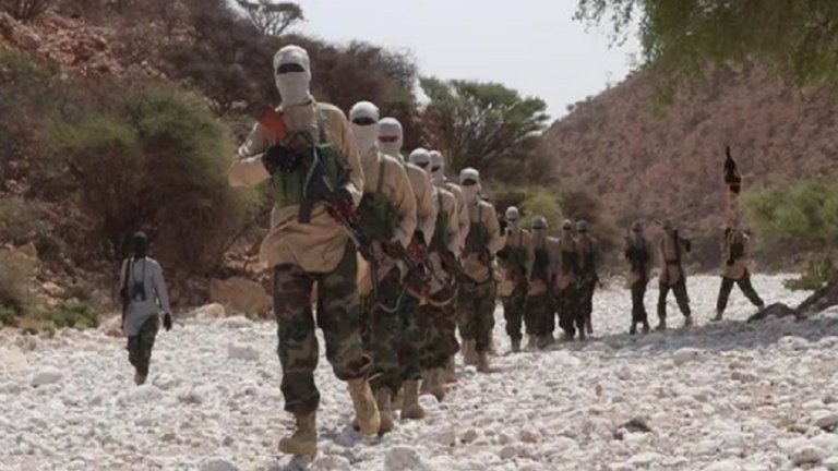 , عشرات القتلى في مواجهات عنيفة بين عناصر الشباب وداعش شمال الصومال