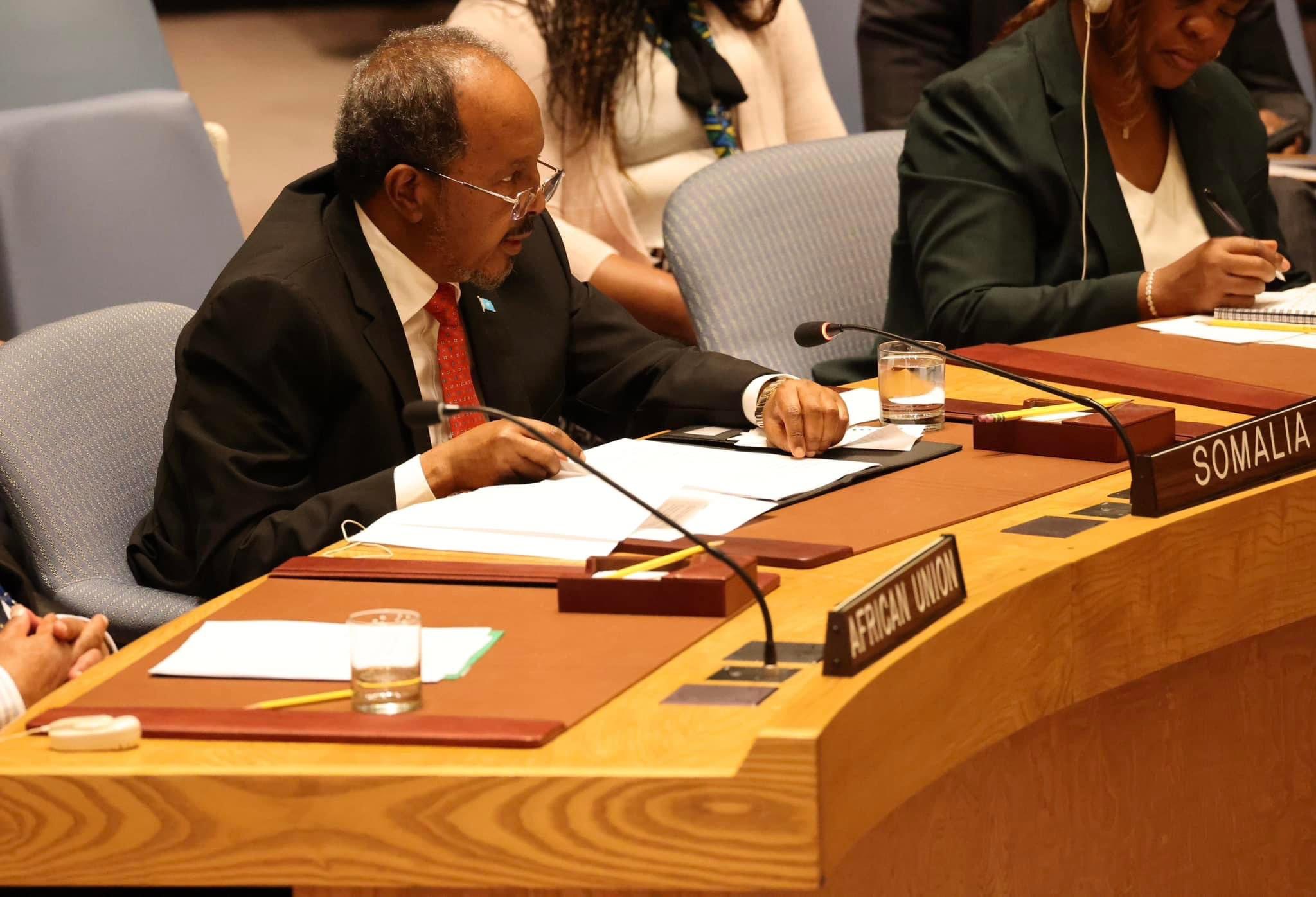 , الرئيس الصومالي يطالب مجلس الأمن برفع حظر الأسلحة المفروض على بلاده
