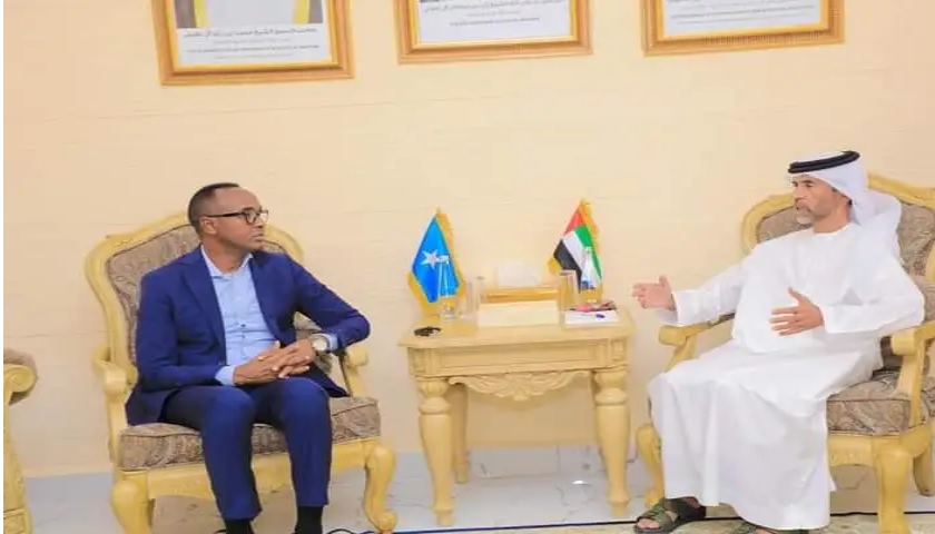 , الصومال يطلب من دولة الإمارات دعم جهود إعادة الاستقرار في المناطق المحررة
